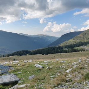 OnePlus 6 Review - cel mai bun raport calitate - preț