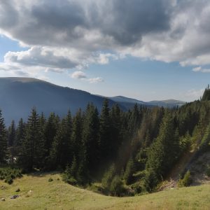 OnePlus 6 Review - cel mai bun raport calitate - preț