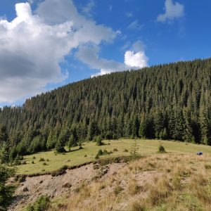 OnePlus 6 Review - cel mai bun raport calitate - preț