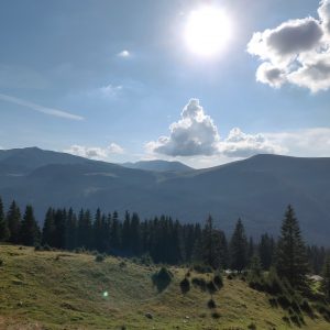 OnePlus 6 Review - cel mai bun raport calitate - preț