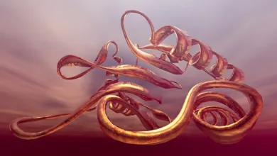 Citocromul P450 (CYP1B1)